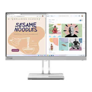 Lenovo 21.45 inches FHD Monitor, Cloud Grey, L22e-40