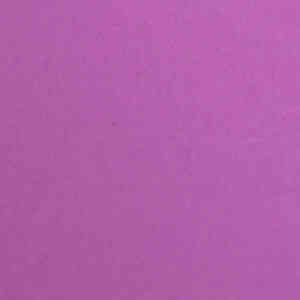 LENZCAM PLUM#91 3*11 M Seamless Background Paper