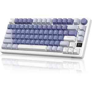 ROYAL KLUDGE RKM75 GAMING KEYBOARD